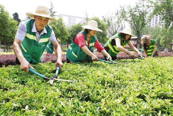 泰安哪里考園林綠化工多少錢詳細(xì)流程解讀