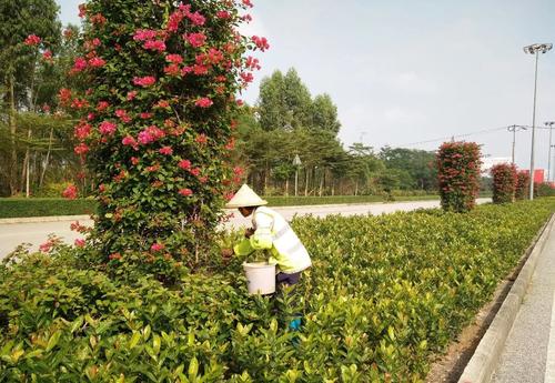 新沂市綠化工報名入口全國通用 在哪里查是否全國通用